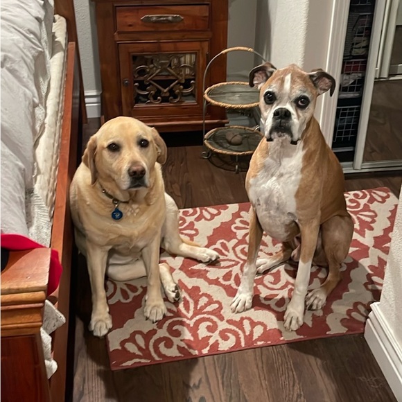 Like this listing to be notified when I go live ๐พ๐๐พ - Picture 1 of 1